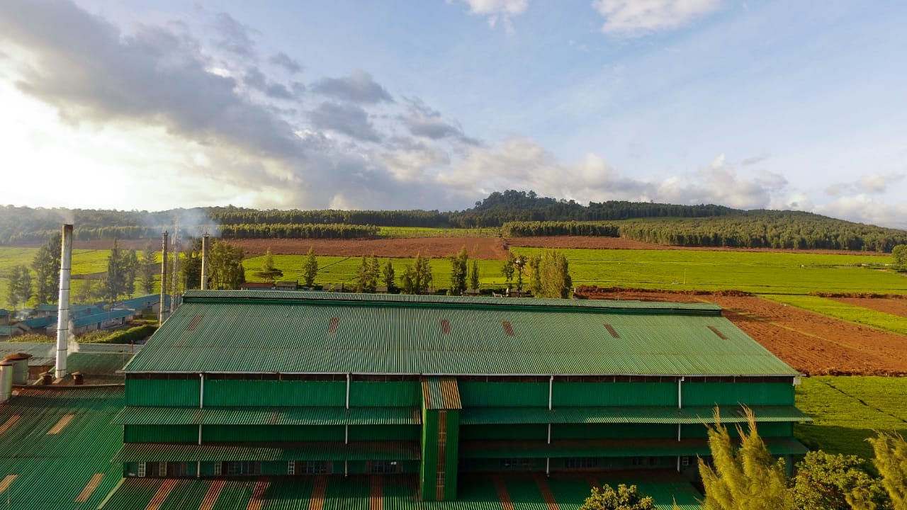 KTDA Holdings appoints Francis Miano as acting CEO